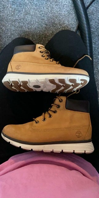 boys timberland boots size 13